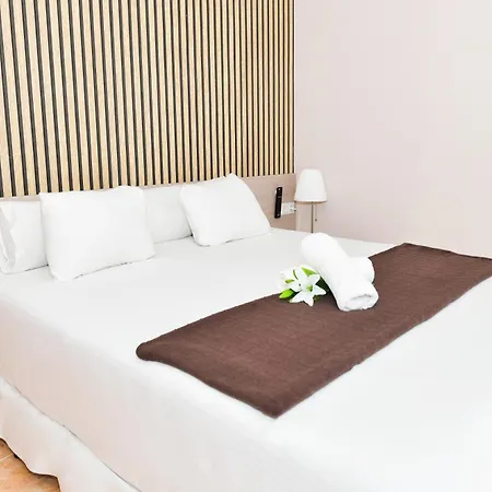 Ancora * フィニステレ